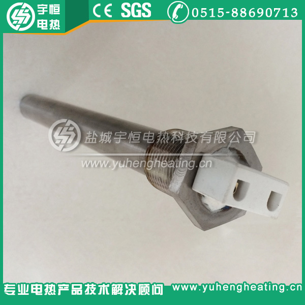 直型純鈦單頭加熱管